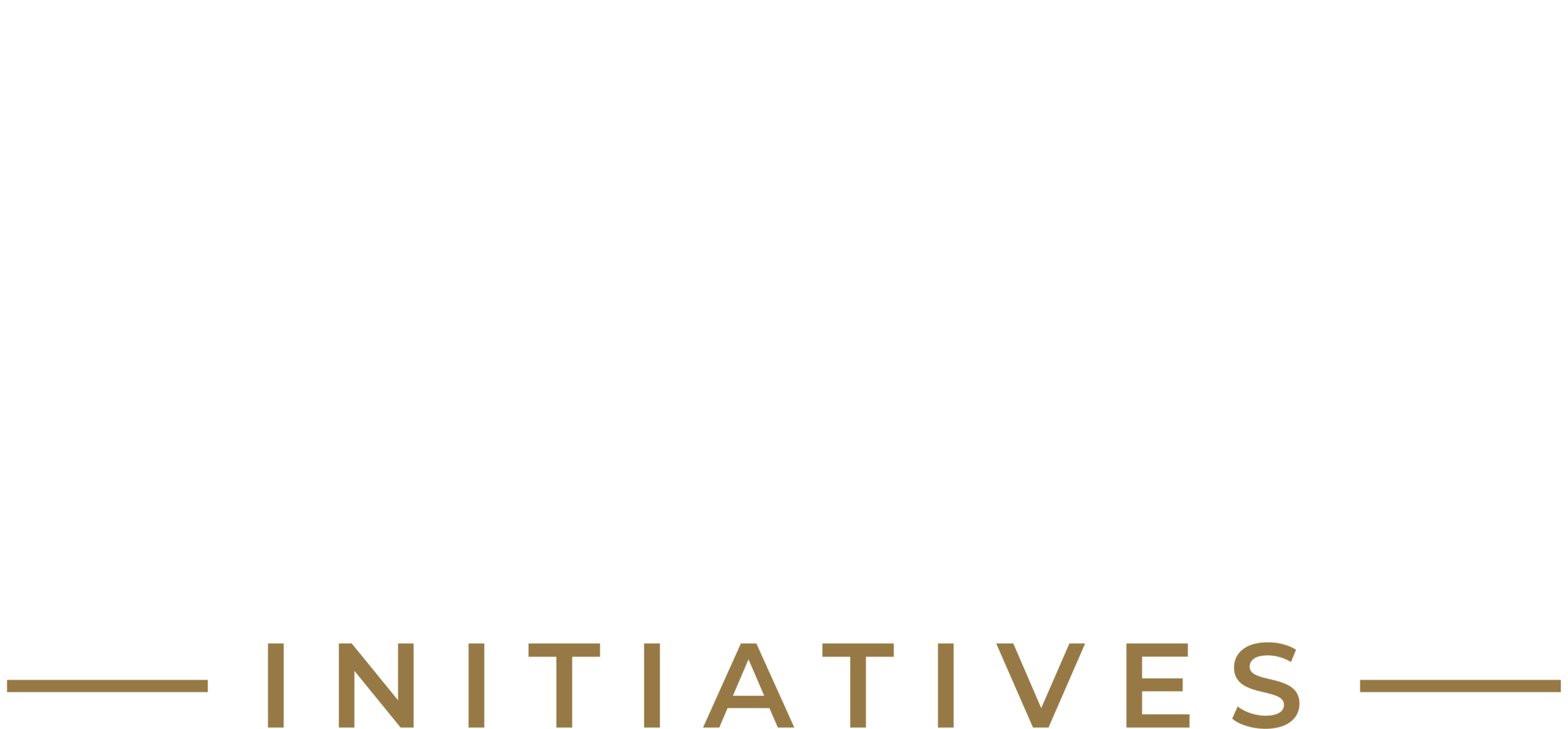 Arc Initiatives